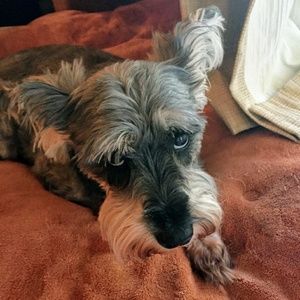 Meet your Posher, Kathy